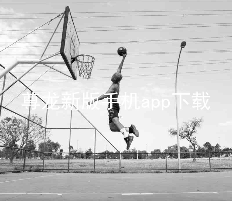 尊龙新版手机app下载